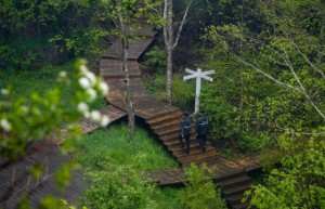 冰城公安：提笔生态警务 绘就碧水青山画卷