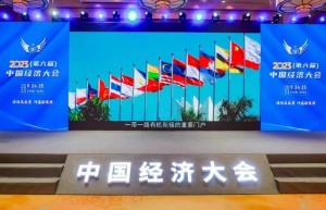 美思康宸集团荣获2023中国经济大会《行业匠心品牌》奖