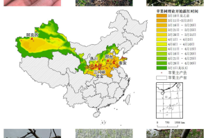 农业农村部信息中心与佳格天地联合发布2020年全国主产区苹果花期冻害预警分析